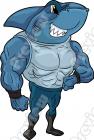 Cartoon Shark Clip Art